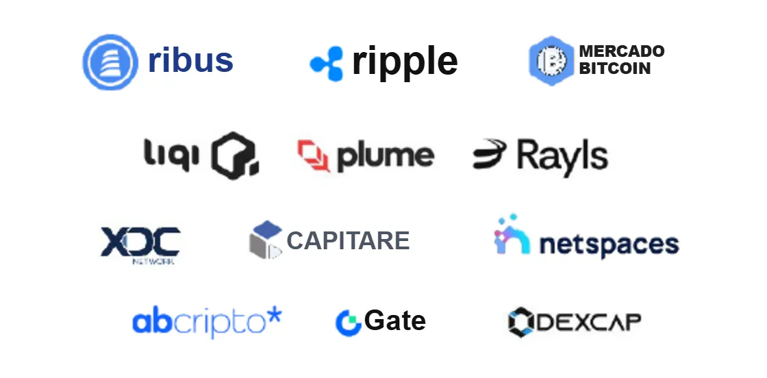 Ribus, Ripple, Mercado Bitcoin, Liqi, Plume, Rayls, XDC Network, Capitare, Netspaces, ABcripto, Gate e DEXCAP
